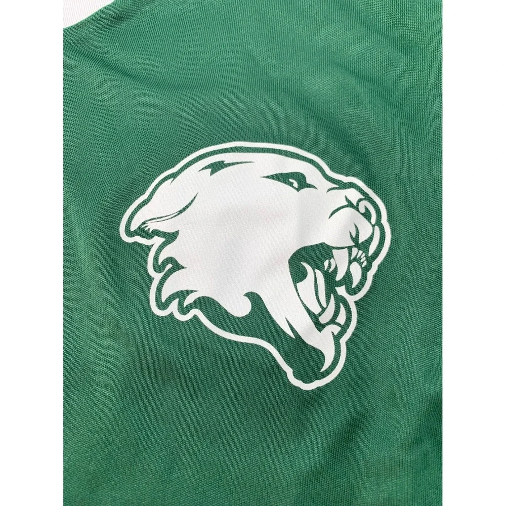 Alleson Athletic Youth Reversible Basketball Jersey‎ Green White Panther Size L